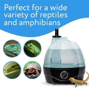 img 1 attached to 🦎 Evergreen Pet Supplies Reptile Humidifier/Fogger - Large Tank - Versatile for Reptiles, Amphibians, and Herps - Compatible with Terrariums and Enclosures