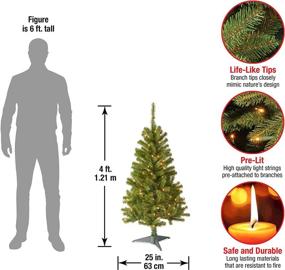 img 2 attached to 🎄 4 Feet Pre-Lit Artificial Green Christmas Tree - Canadian Fir Grande, White Lights - National Tree Company, Includes Stand