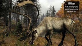 img 3 attached to 🦌 Cabelas: Pro Hunts - Охотник на крупную дичь для PlayStation 3