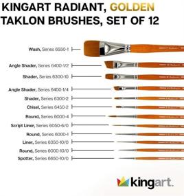 img 1 attached to 🖌️ KingArt PREMIUM Radiant Taklon Paint Brush Set - 12 Assorted Shapes and Sizes