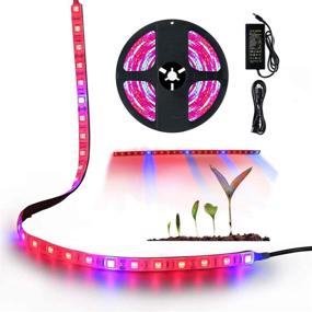 img 4 attached to 🌱 ZCPlus LED Strip Light – Plant Grow Lights 16.4ft, 5050 SMD Waterproof Full Spectrum Red Blue 4:1, Growing Lamp for Aquarium, Greenhouse, Hydroponic Plant Garden, Flowers (5 M)