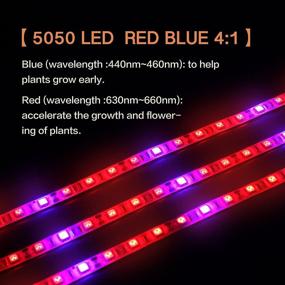 img 3 attached to 🌱 ZCPlus LED Strip Light – Plant Grow Lights 16.4ft, 5050 SMD Waterproof Full Spectrum Red Blue 4:1, Growing Lamp for Aquarium, Greenhouse, Hydroponic Plant Garden, Flowers (5 M)