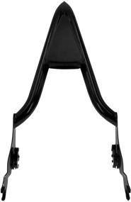 img 2 attached to HDBUBALUS Detachable Passenger Backrest 2009 2021
