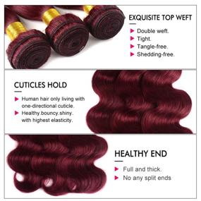 img 1 attached to Burgundy Bundles Brazilian Hair Extension