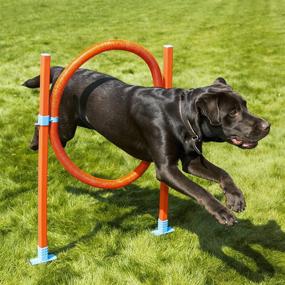 img 2 attached to Agility Hoop Jump Play Exercise