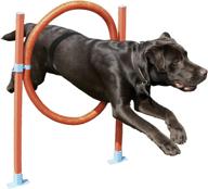 agility hoop jump play exercise logo