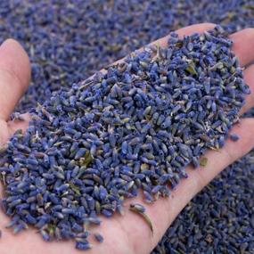 img 2 attached to Hslife Lavender Organic Flowers，Natural Fragrance
