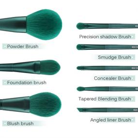 img 3 attached to 🌿 Eigshow Premium Green Makeup Brush Set: High-Quality Synthetic Cosmetics Brushes for Foundation, Powder, Concealers, Blending, Eye Shadows, and Kabuki Application (8pcs)