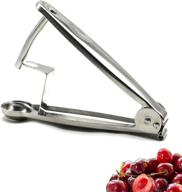 🍒 heavy-duty stainless steel cherry and olive pitter tool - efficient fruit corer seed remover for cherries, jujubes, and plums logo