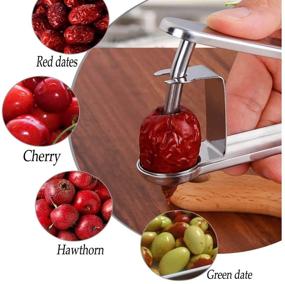 img 1 attached to 🍒 Heavy-Duty Stainless Steel Cherry and Olive Pitter Tool - Efficient Fruit Corer Seed Remover for Cherries, Jujubes, and Plums