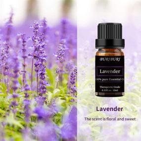 img 3 attached to 🌿 Organic Lavender Essential Oil - 100% Pure, Undiluted, Natural Aromatherapy Oils - 10ML