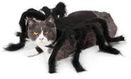 🎃 halloween pet big spider costume for cats - funny party dress-up accessories by mascare logo