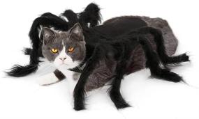 img 4 attached to 🎃 Halloween Pet Big Spider Costume for Cats - Funny Party Dress-Up Accessories by MASCARE