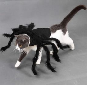 img 1 attached to 🎃 Halloween Pet Big Spider Costume for Cats - Funny Party Dress-Up Accessories by MASCARE