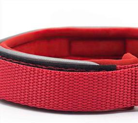 img 2 attached to 🐶 KLCW Ultra Soft Neoprene Padded Dog Collar: Ideal for Small to Medium Dogs, Reflective & Adjustable with No Pull Feature