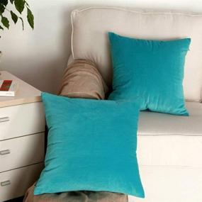 img 3 attached to 🛋️ Artcest Set of 2, Cozy Velvet Throw Pillow Case Decorative Couch Cushion Cover Soft Sofa Euro Sham with Hidden Zipper, 18"x18" - Light Teal