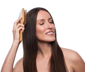 img 2 attached to Natural Wooden Paddle Hair Brush Set: Bamboo Bristle Pins, Hairbrush, and Comb for Women, Men, and Kids - Ideal for Thin, Thick, Long, Short, and Curly Hair - Includes Scalp Massage - Eco-Friendly and Biodegradable