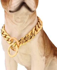 img 2 attached to 🐶 Stylish and Durable Gold Plated Stainless Steel NK Chain Dog Collar Choker Necklace by FANS JEWELRY - Available in Various Lengths and Widths