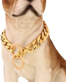 img 3 attached to 🐶 Stylish and Durable Gold Plated Stainless Steel NK Chain Dog Collar Choker Necklace by FANS JEWELRY - Available in Various Lengths and Widths