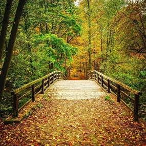 img 3 attached to LYWYGG 10x10ft Fall Photography Backdrop - Vibrant Autumn Scenery with Deciduous Bridge, Trees & Yellow Leaves - Vinyl Studio Background for Captivating Photo Shoots - Studio Props CP-62