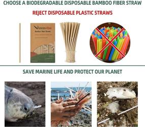 img 3 attached to 🌿 100 Pcs Ecovibe Bamboo Fiber Disposable Straws - Biodegradable & Eco-friendly