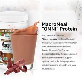 img 1 attached to 🌿 MacroLife Naturals MacroMeal Omni Порошок Суперпродуктов - Время высвобождения Протеинов, Зелень, Пищеварительные Ферменты, Пищевые Волокна, МСТ - Повышение Энергии - Без ГМО, Без Глютена, без rSBT - Шоколадный Вкус - 18.5 унций (15 Порций)