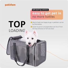 img 1 attached to 🐱 Convenient Top Load Pet Carrier: Ideal for Large and Medium Cats, Small Dogs - Easy Ingress, Secure Storage, and Hassle-Free Cleaning