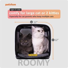 img 3 attached to 🐱 Convenient Top Load Pet Carrier: Ideal for Large and Medium Cats, Small Dogs - Easy Ingress, Secure Storage, and Hassle-Free Cleaning