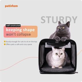img 2 attached to 🐱 Convenient Top Load Pet Carrier: Ideal for Large and Medium Cats, Small Dogs - Easy Ingress, Secure Storage, and Hassle-Free Cleaning