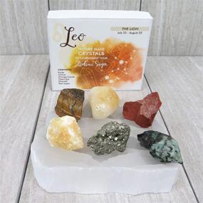 img 2 attached to Leo Zodiac Sign Rock Paradise Horoscope Stone Box Set – Birthstone Charms for Healing Crystals – Astrology Crystal Healing Horoscope Gift