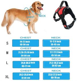 img 2 attached to Multipurpose Dog Safety Car Vest Harness with Seat Belt Attachment for Ultimate Travel Safety