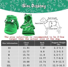 img 1 attached to 🐸 SGQCAR Dog Hoodie Sweatshirt: Cute Green Frog Costume for Small-Medium Dogs & Cats - Winter Warm Jacket, Pet Cold Weather Clothes, Doggie Hooded Outfit, Cozy Sweater Coat