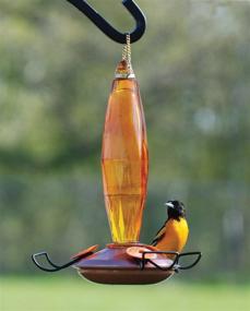 img 1 attached to Audubon Amber Oriole Feeder NA08 with Cut Glass Design