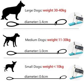 img 2 attached to 🐾 Reflective Rope Slip Training Lead for Dogs and Cats - 5 Ft Long, Ideal for Small to Extra Heavy Pets, Perfect for Mountain Climbing