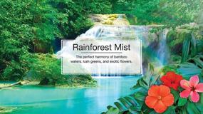 img 2 attached to Little Trees® Fresheners Rainforest Scent