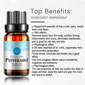 img 2 attached to Ароматический диффузор Peppermint Essential Aromatherapy Orangic