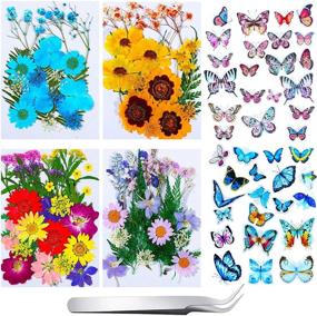 img 4 attached to 🌸 Timtin 151 Pieces Natural Real Dried Flowers with Butterfly Stickers, Tweezers - DIY Art Crafts, Candle Making, Scrapbooking, Resin Jewelry Decorations