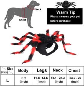 img 2 attached to 🐾 Changeary Halloween Cat Dog Costume - Large Dog Spider Costume, Festival Pet Accessories for Medium and Large Dogs - Black Red Giant Spider Dress-up for Your Furry Friend!