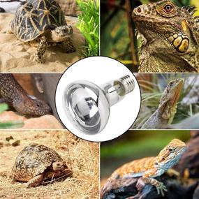 img 2 attached to High-Performance 75W UVB Reptile Light and Heat Lamp Bulb: Essential Bearded Dragon Accessories for Reptile Care