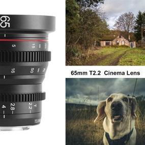 img 2 attached to 📷 Meike 65mm T2.2 Mini Manual Focus Wide-Angle Cinema Lens for M43 Micro Four Thirds MFT Mount Cameras, Compatible with BMPCC 4K, Z CAM E2 - Black