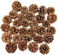 🎄 30-piece bulk natural christmas pine cones - ideal craft, home ornament, winter holiday decor, vase and bowl filler logo