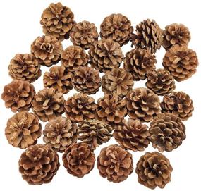 img 4 attached to 🎄 30-Piece Bulk Natural Christmas Pine Cones - Ideal Craft, Home Ornament, Winter Holiday Decor, Vase and Bowl Filler