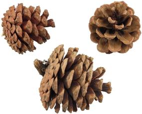 img 3 attached to 🎄 30-Piece Bulk Natural Christmas Pine Cones - Ideal Craft, Home Ornament, Winter Holiday Decor, Vase and Bowl Filler