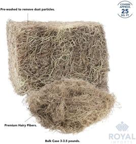 img 1 attached to 🌿 3 LB Bulk Case of Royal Imports Preserved Natural Spanish Moss- Fresh Dried Shredded Loose Chunks for Natural Décor