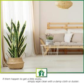 img 2 attached to 🌿 CROSOFMI Artificial Snake Plant: Lifelike 35.4 Inch Fake Sansevieria Tree with 32 Leaves - Faux Mother-in-Law Plant in Pot for Indoor Outdoor Decor, Housewarming Gift