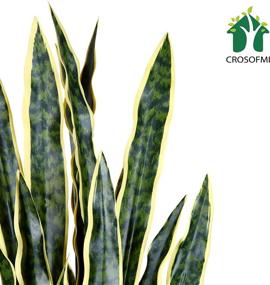 img 3 attached to 🌿 CROSOFMI Artificial Snake Plant: Lifelike 35.4 Inch Fake Sansevieria Tree with 32 Leaves - Faux Mother-in-Law Plant in Pot for Indoor Outdoor Decor, Housewarming Gift