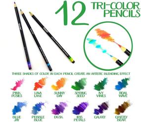 img 3 attached to Карандаши Crayola Tri-Shade с оловом в подарочной упаковке: 12 штук подарочный набор для ярких произведений искусства