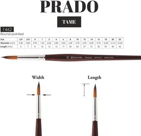 img 2 attached to 🖌️ Кисть для живописи Escoda Prado серии 12 размера Синтетическая кунгур (кефир) для акварели и акрилового искусства - Короткая ручка круглого дизайна от Speedball Art Products.