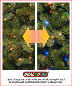 img 2 attached to 🎄 National Tree 70 Bulb Dual Color LED Lights, Low Voltage Add-On Set (LS21-802-70) - Enhanced for SEO