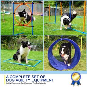 img 3 attached to YON.SOU Dog Agility Training Equipment Set - 8 Piece Obstacle Course for Pet 🐶 Indoor & Outdoor Games with Tunnel, Weave Poles, Adjustable Hurdles, Pause Box, Frisbee, and Whistle